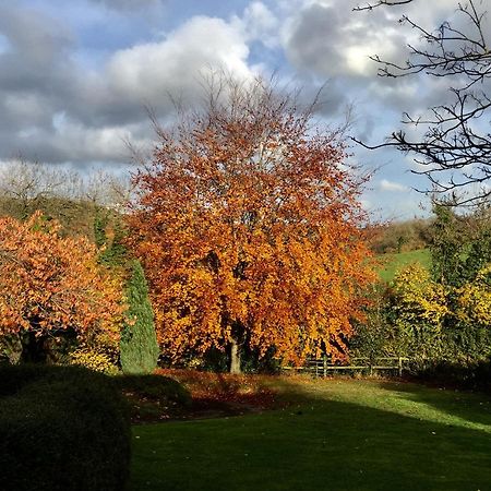 مبيت وإفطار شيبتون ماليت Valley View Farm, Batcombe المظهر الخارجي الصورة