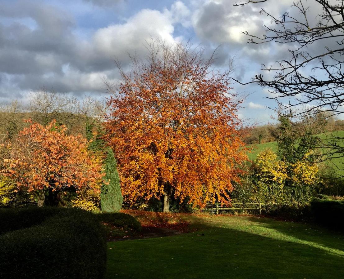 مبيت وإفطار شيبتون ماليت Valley View Farm, Batcombe المظهر الخارجي الصورة