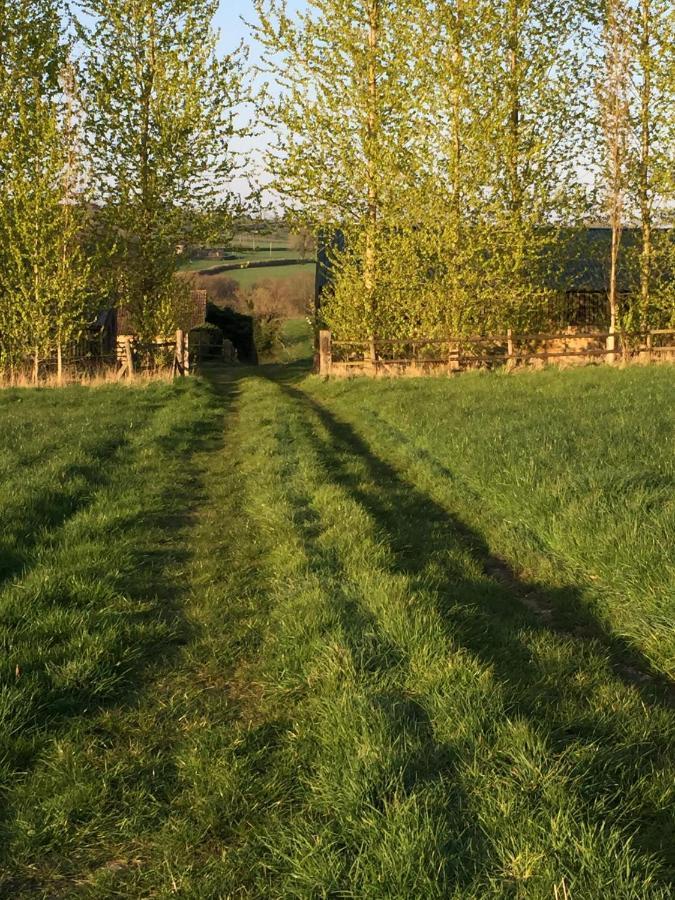 مبيت وإفطار شيبتون ماليت Valley View Farm, Batcombe المظهر الخارجي الصورة